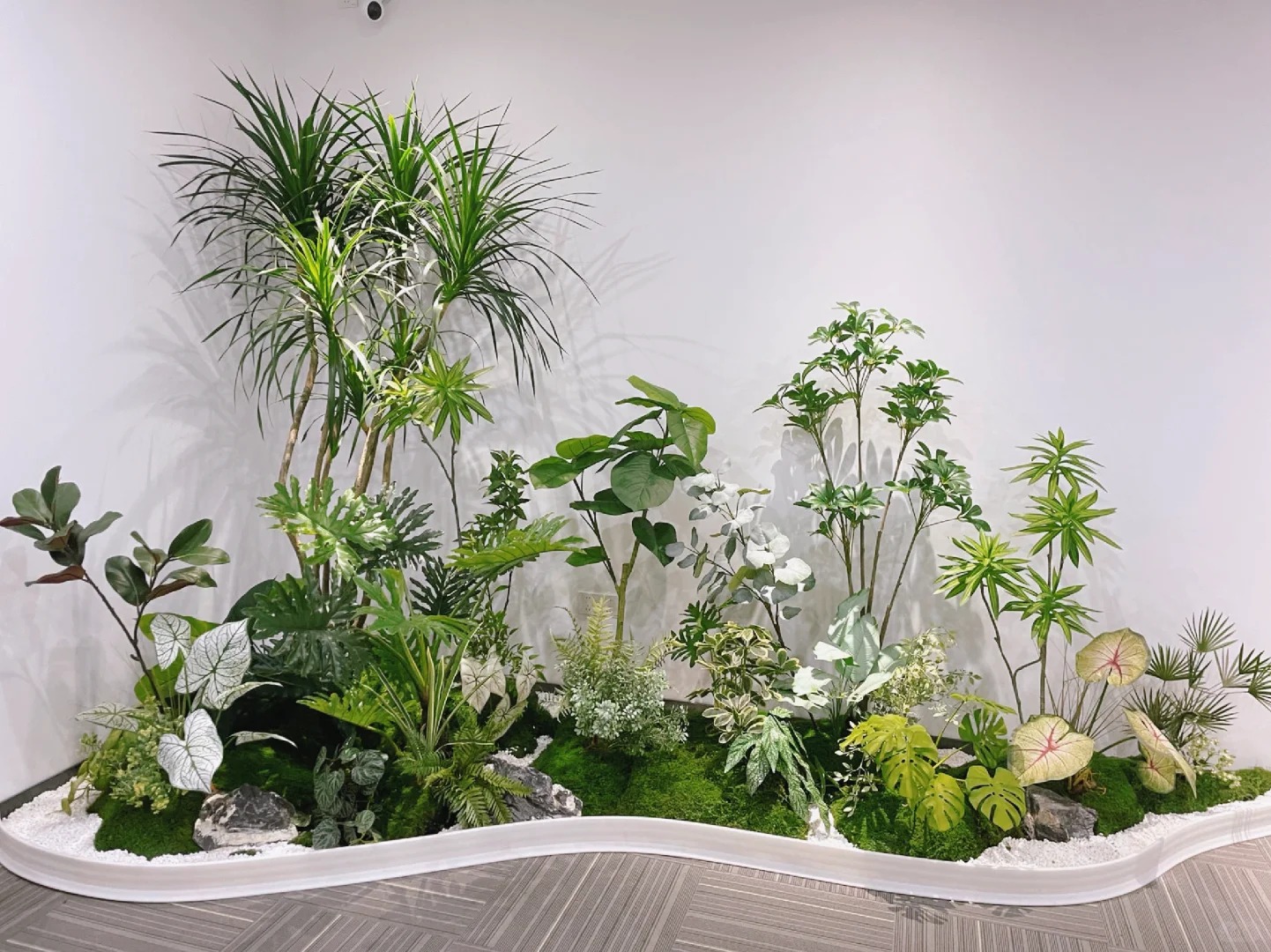 了解镇海花木租摆价格，看这一篇就够了！